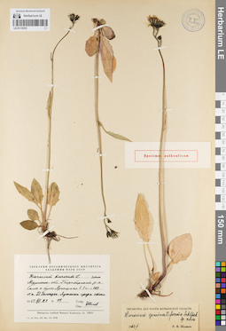 LE 01119751