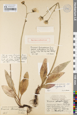 LE 01119775
