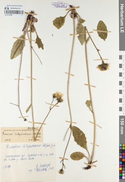 LE 01119789