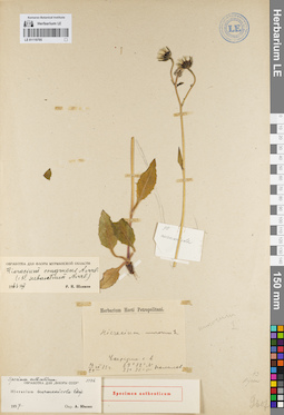 LE 01119795