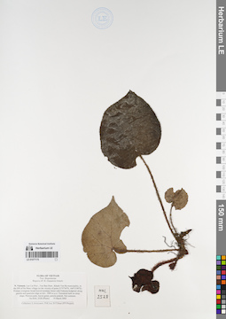LE 01077175