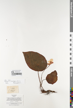 LE 01077187