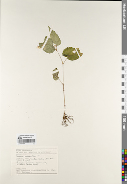 LE 01077201