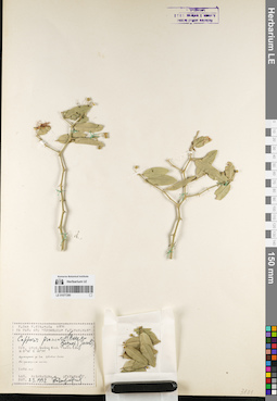 LE 01077280