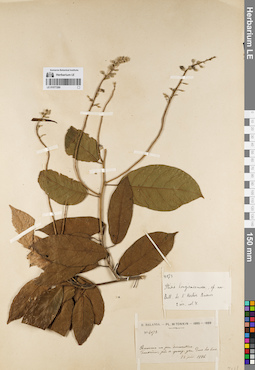 LE 01077289