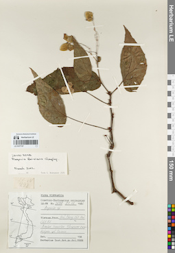 LE 01077157
