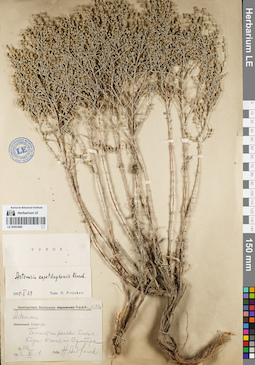 LE 00053485