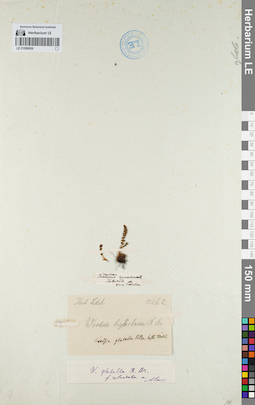 LE 01086606