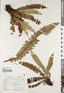LE 01086607