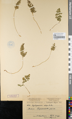 LE 01086648