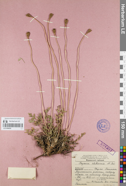 LE 01094030