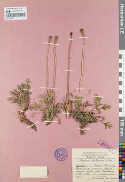 LE 01094032