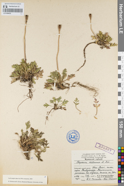 LE 01094035