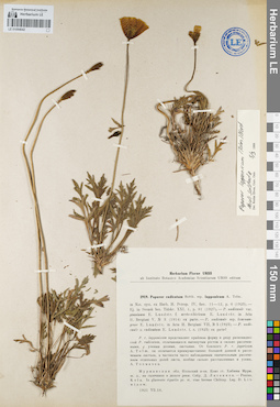 LE 01094042