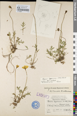 LE 01094044