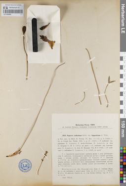LE 01094065