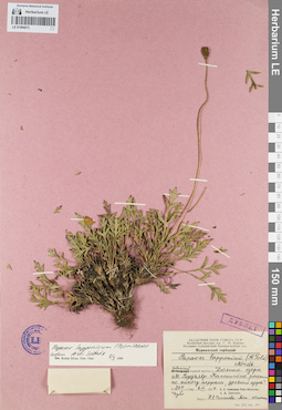 LE 01094073