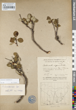 LE 01094117