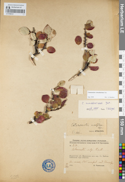 LE 01094121