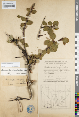 LE 01094140