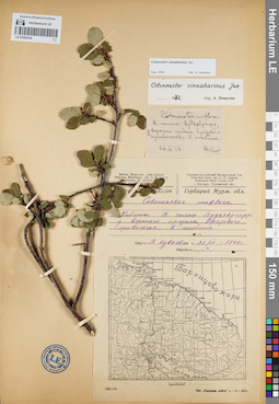 LE 01094143