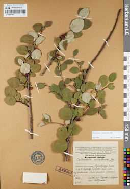 LE 01094159