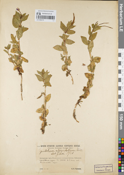 LE 01094175