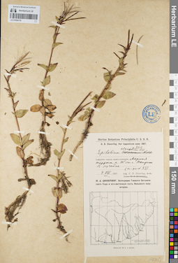 LE 01094179