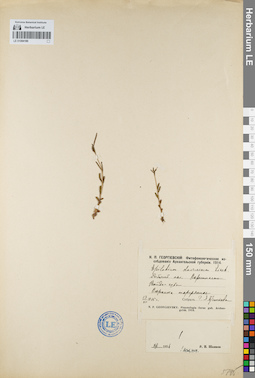 LE 01094180