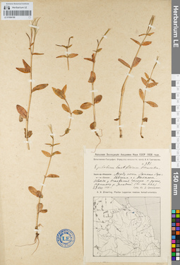 LE 01094190