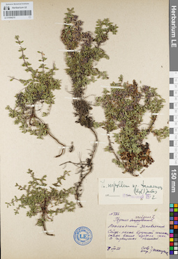 LE 01094215