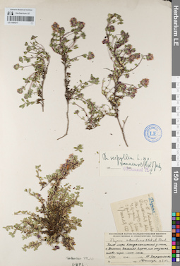 LE 01094217