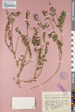LE 01094538