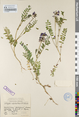 LE 01094540