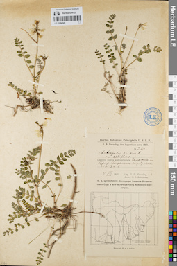 LE 01094545