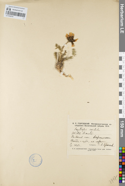 LE 01094743