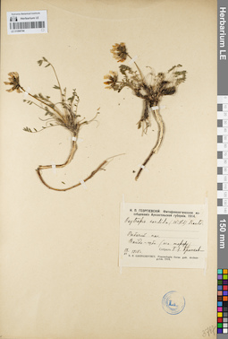 LE 01094744