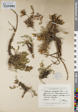 LE 01094747