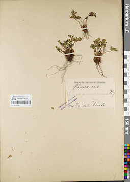 LE 01118790
