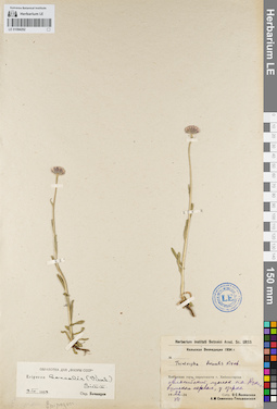 LE 01094252