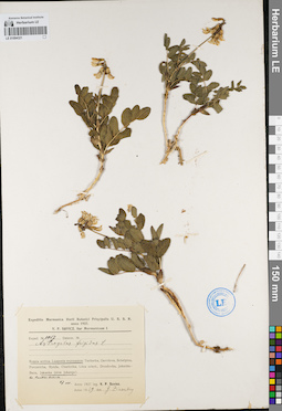 LE 01094321