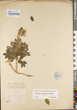 LE 01094334