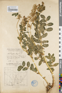 LE 01094344