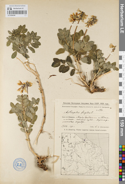 LE 01094349