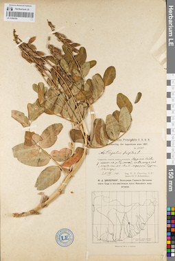 LE 01094354