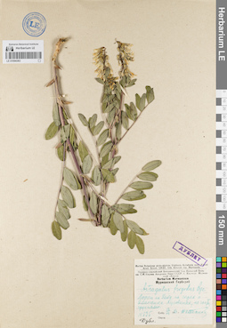 LE 01094363