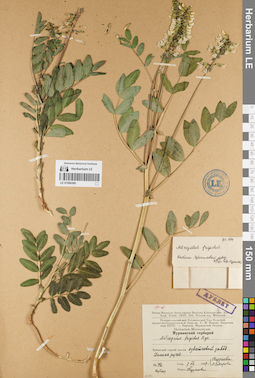 LE 01094369