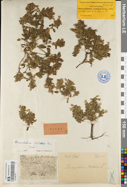 LE 01081129