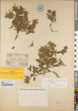LE 01081130