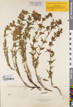 LE 01081785